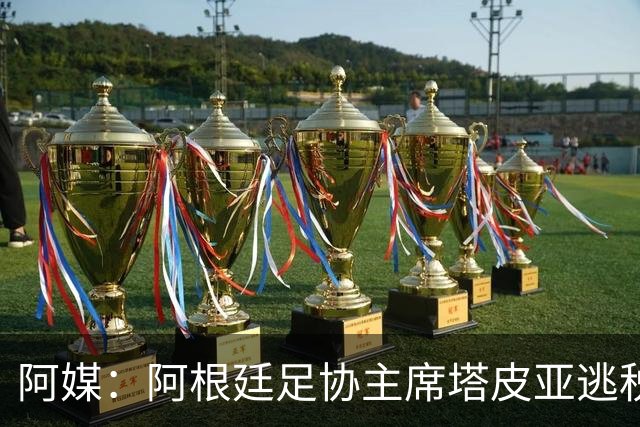 阿媒：阿根廷足协主席塔皮亚逃税上诉被驳回，确认将被起诉